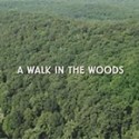 A Walk in the Woods