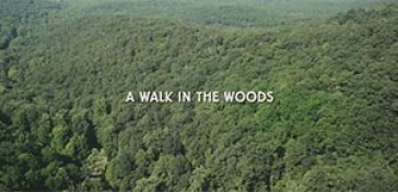 A Walk in the Woods